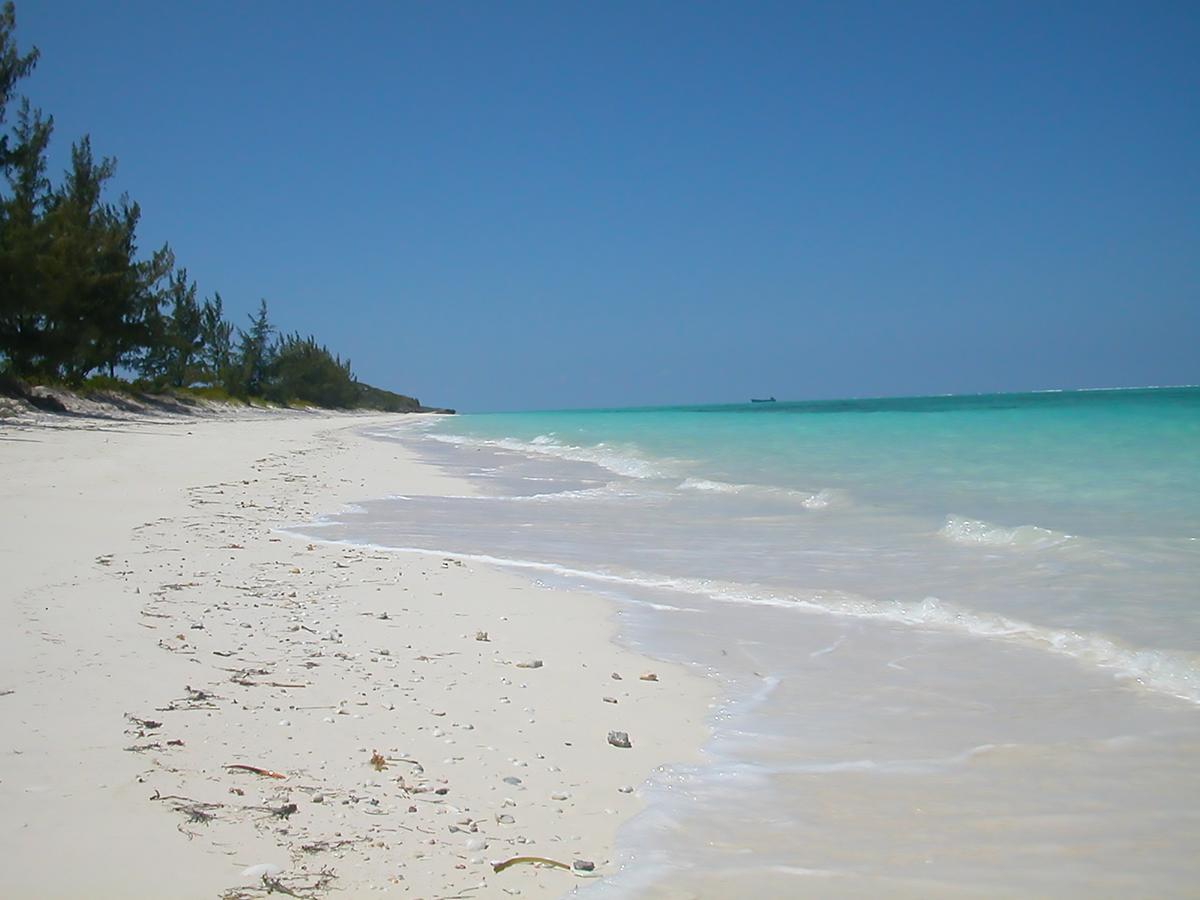 Hollywood Beach Suites Turks And Caicos Whitby Konforlar fotoğraf