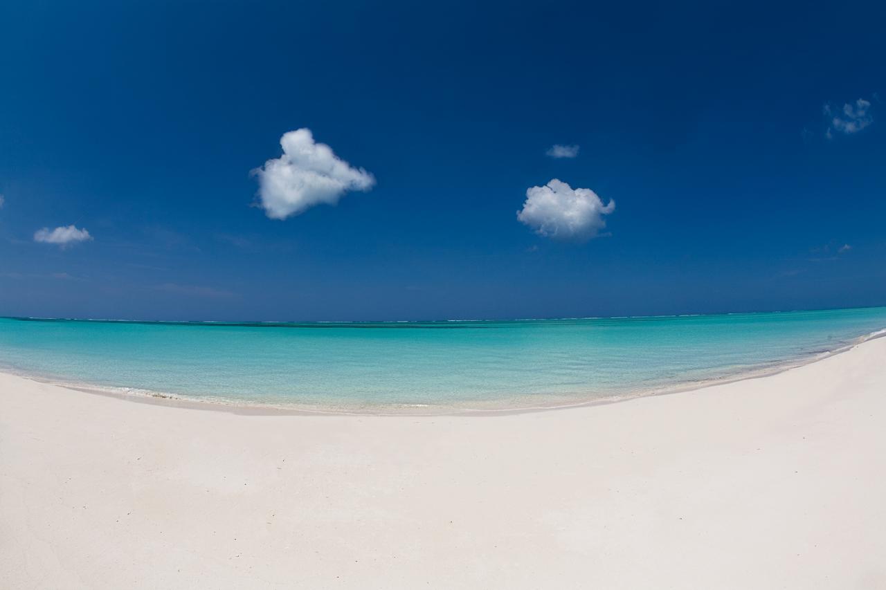 Hollywood Beach Suites Turks And Caicos Whitby Dış mekan fotoğraf